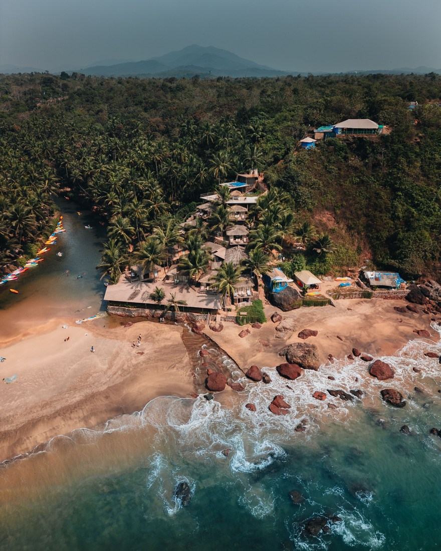 A palm-fringed beach in Goa