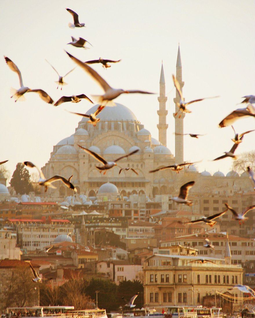 Seagulls over the Suleymaniye Mosque, Istanbul